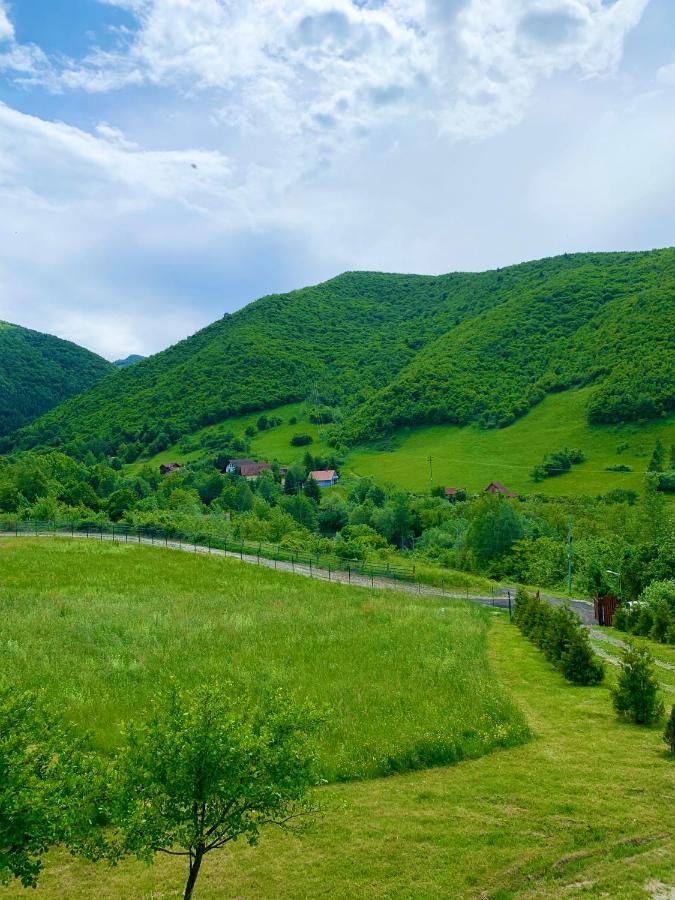 Rustic Cottage Sibiu Eksteriør billede